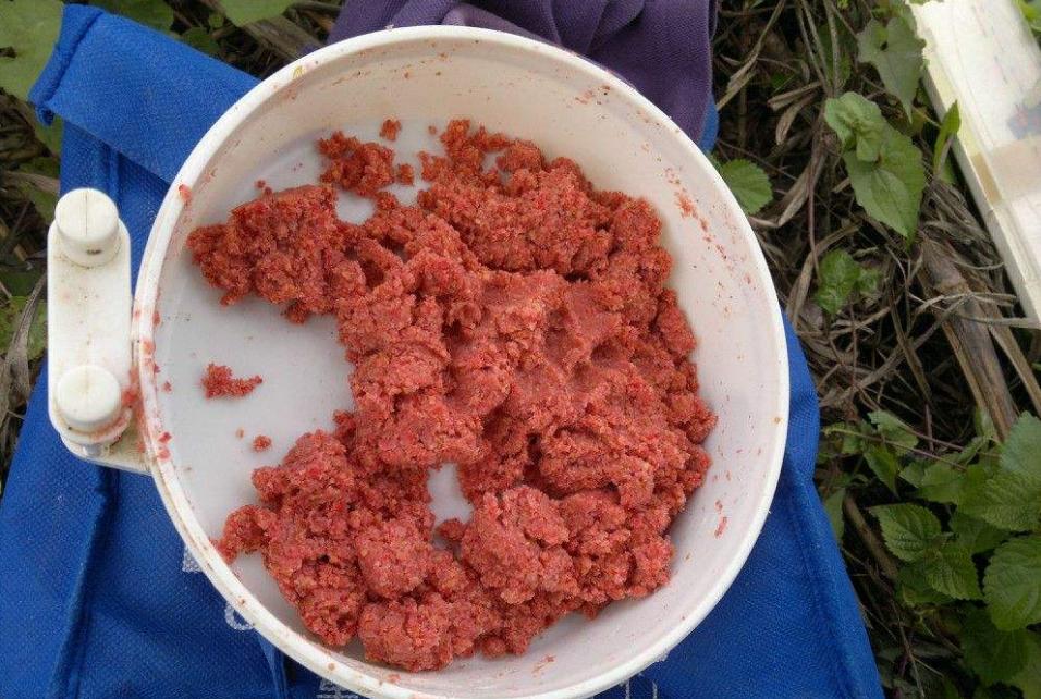 夏季钓鱼鱼饵配方绝技有哪些,夏季钓鱼鱼饵组合