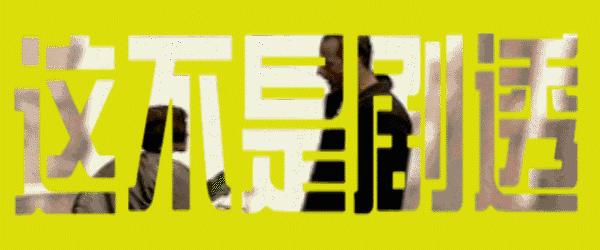 我真的不是想骗你们养猫