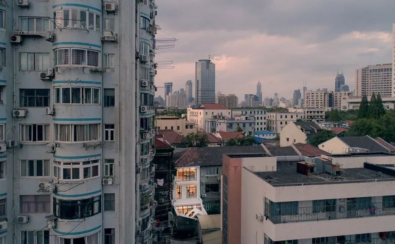 连树都种进房子！71岁高龄老房爆改“回春”，从危房到美宿，不只是惊艳！