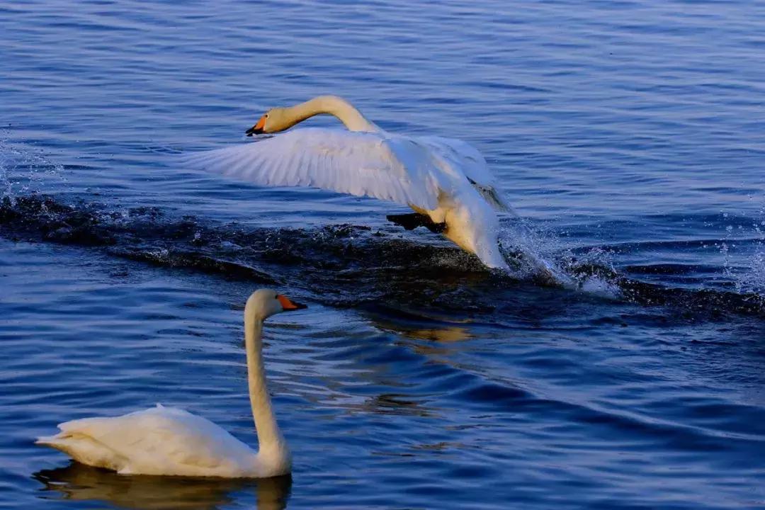 他用对葡园的爱拍出了这片人间仙境