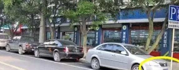 停车违规被抄牌了,停在停车位里也被抄牌
