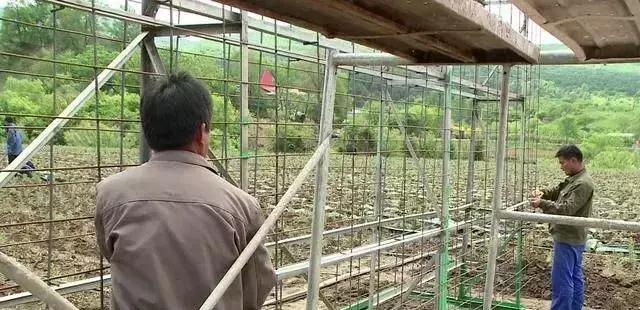 这个季节珲春去哪玩,这个夏天一定要去玩