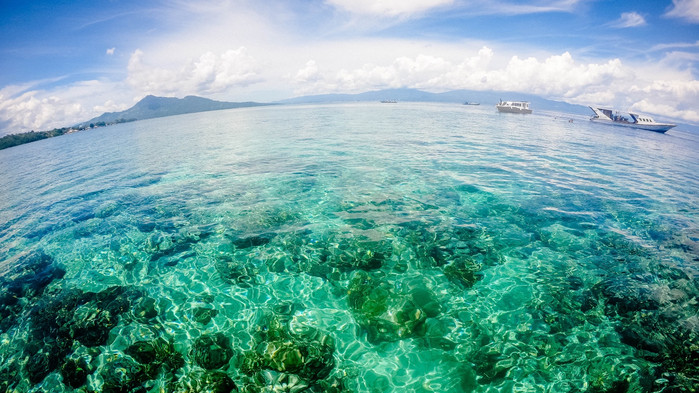 美娜多潜水圣地,印尼美娜多海豚潜水