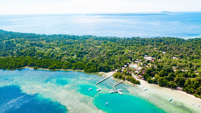 美娜多潜水圣地,印尼美娜多海豚潜水
