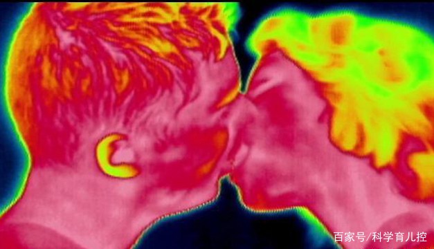 精子经过的四个过程,精子产生与吸收过程