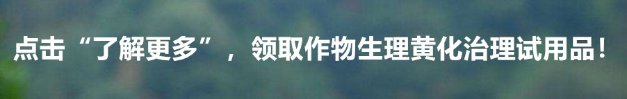 黄金百香果一棵产量,哪种百香果的产量高