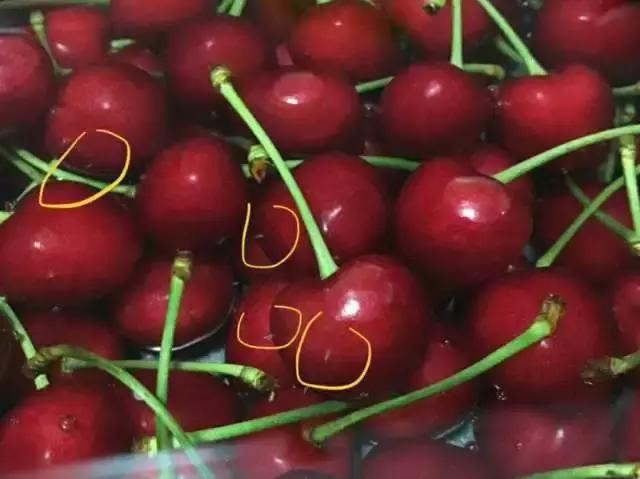 山东大樱桃有虫子吗,完整的大樱桃里面有虫子吗