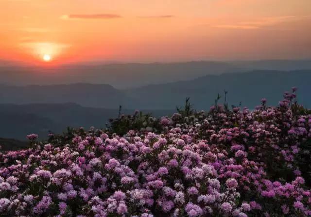贵州最神秘的地方,贵州神秘地区