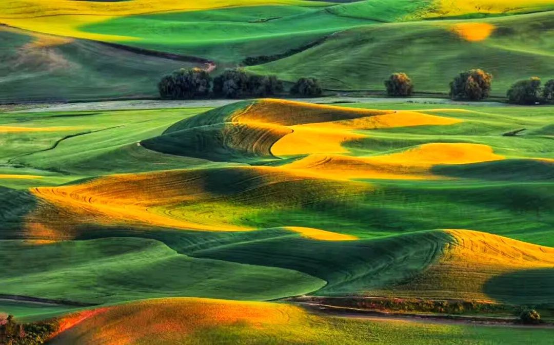 房车美国旅行游记,旅美房车自驾游视频