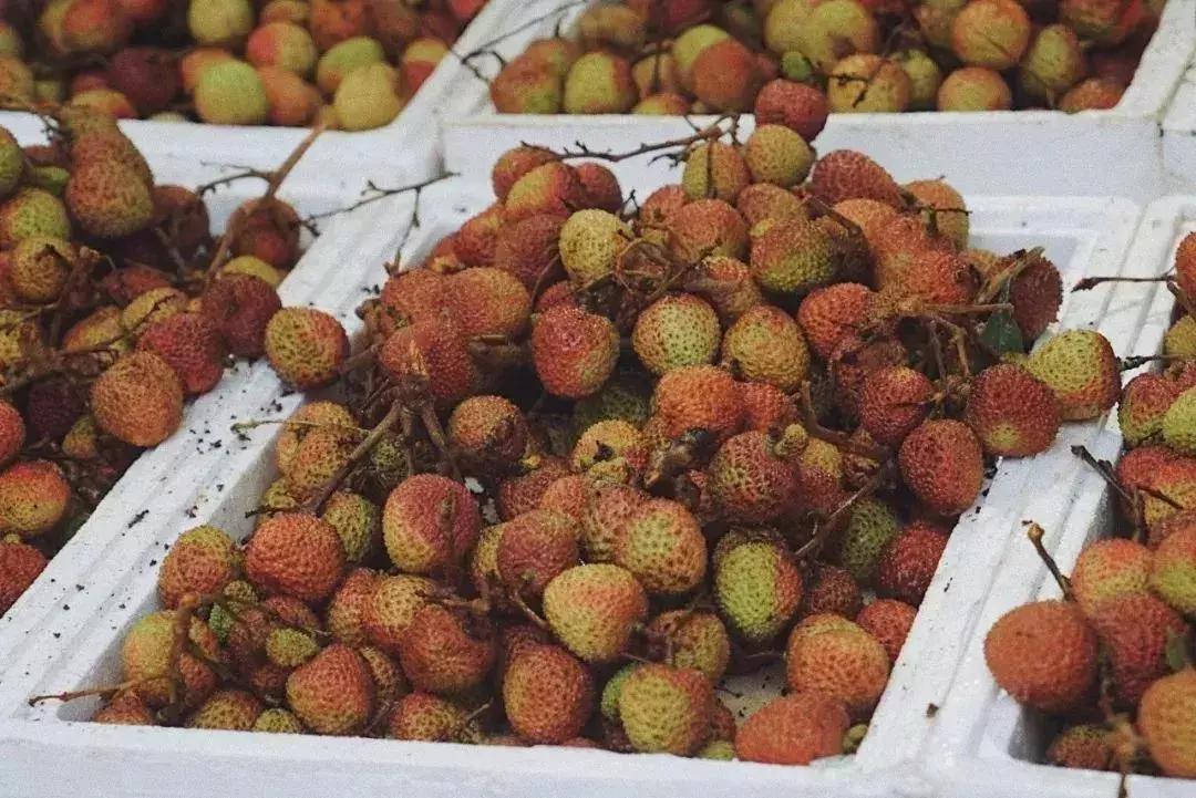 杭州市区最值得逛的街,杭州十大最旺的打卡地