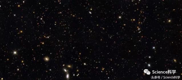 物种起源和进化,物种起源和人类的起源