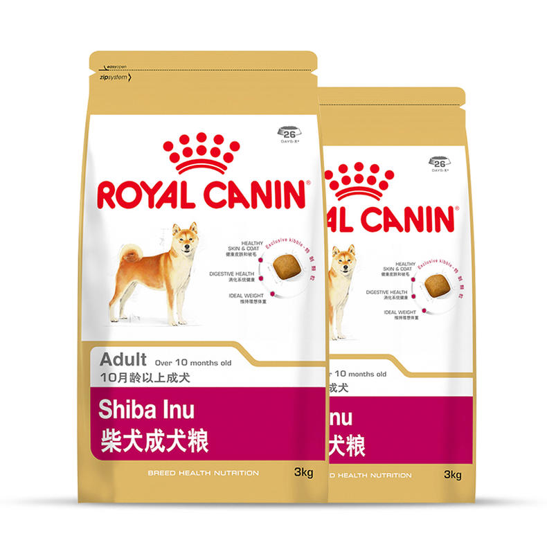 柴柴一岁的成长记录,柴柴性格怎么样