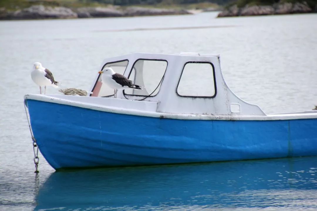 挪威的一个小岛夏天,挪威最美渔村北极圈里的秘境岛屿
