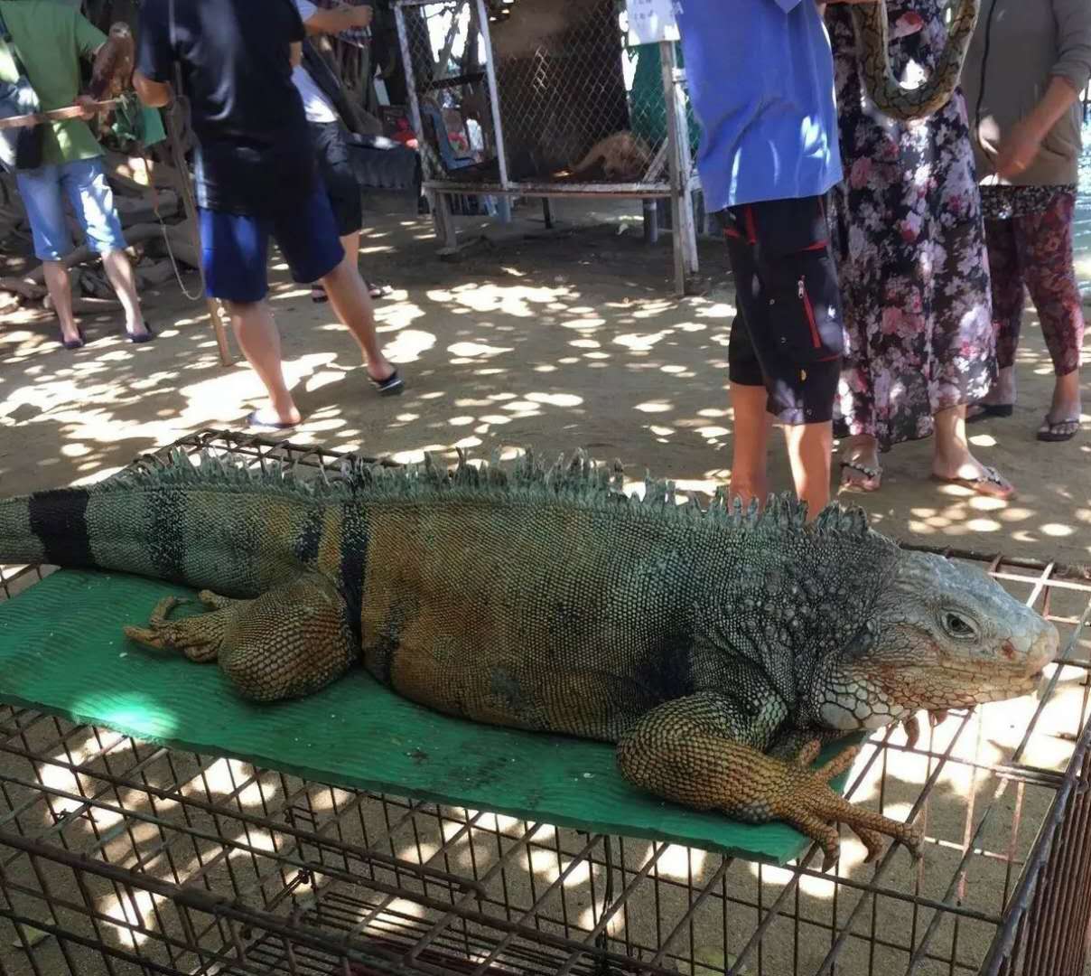 巴厘岛真实的秘境,巴厘岛神秘的海滩