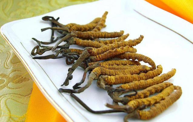 十大补肾名药材有哪些,十大最好的补肾中药