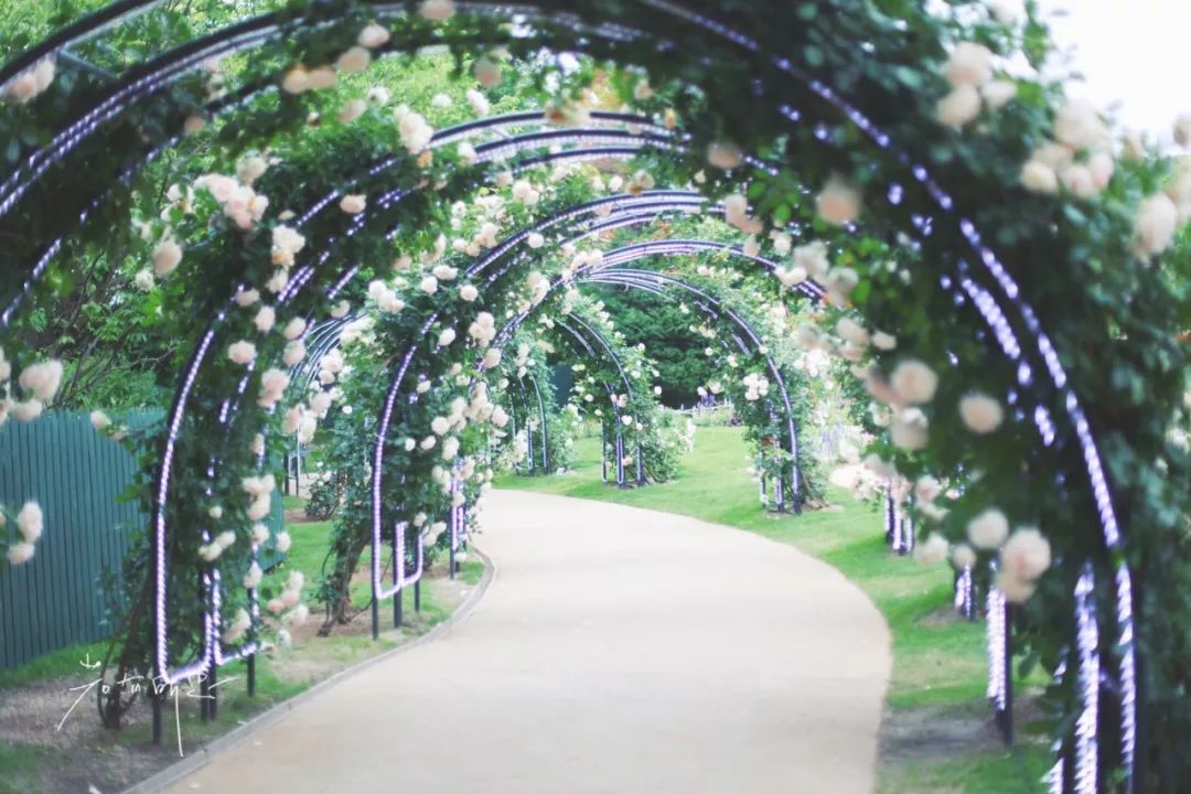 日本的哪个地方中国人不能去,日本什么地方很多中国人