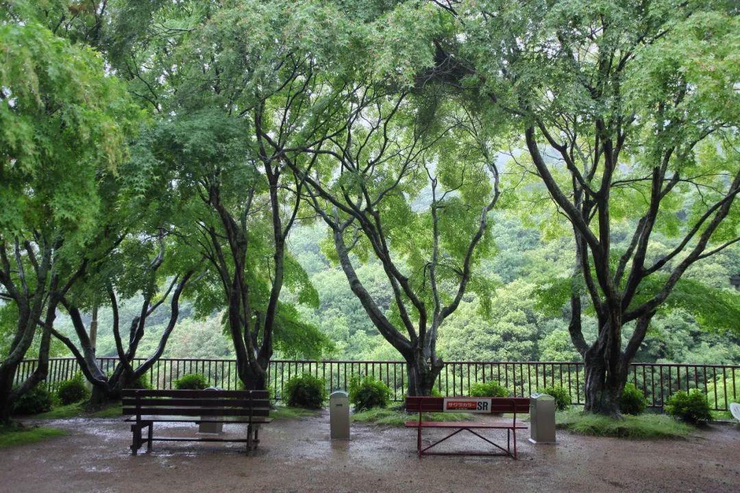 日本的哪个地方中国人不能去,日本什么地方很多中国人