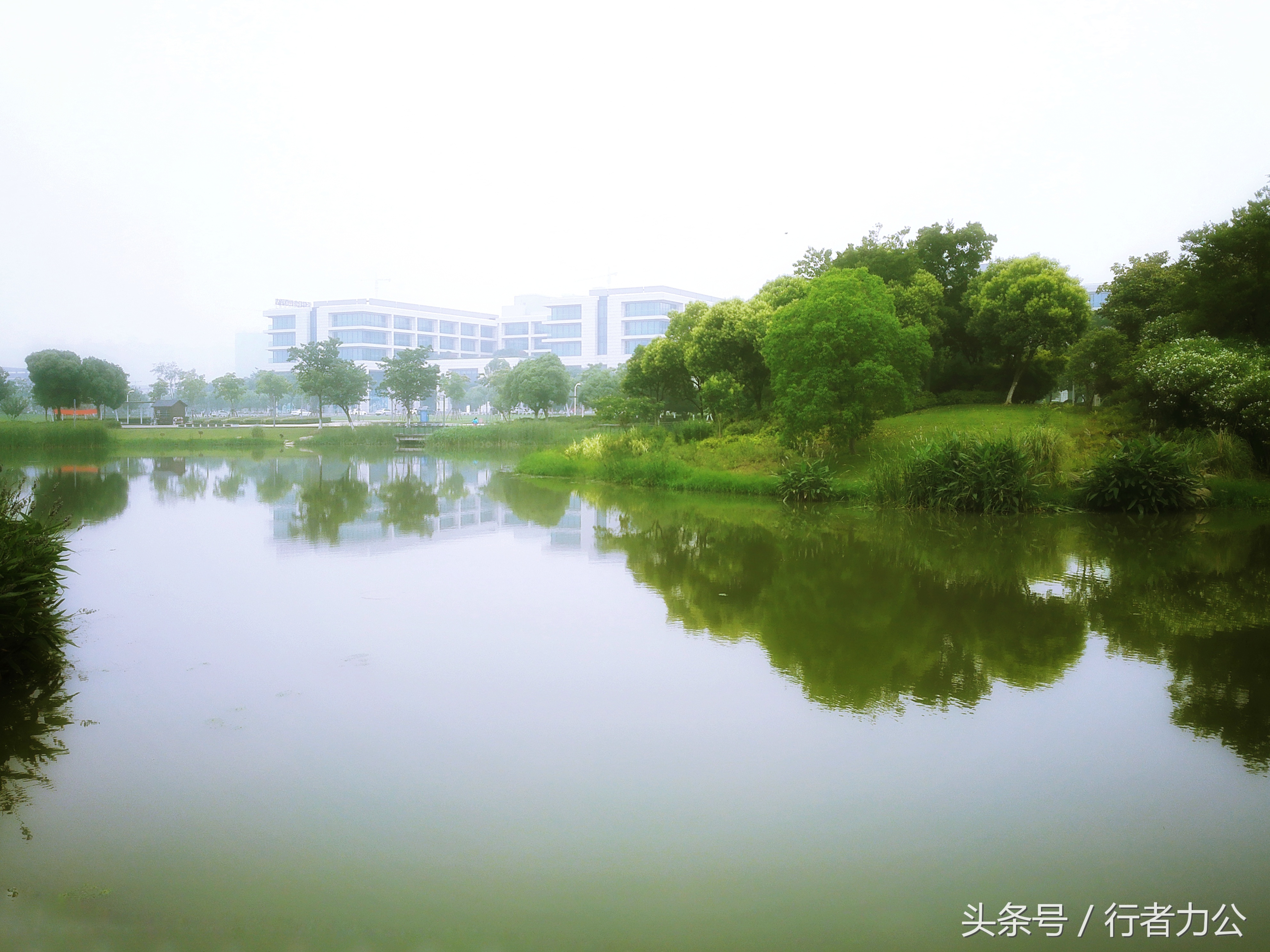 尚贤河湿地公园攻略,尚贤河湿地景点