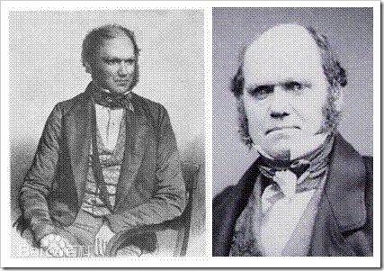 达尔文进化论产生的背景,达尔文生物进化论的主要学说