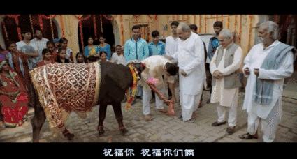 baby和贾玲的关系到底有多好,baby吐槽贾玲