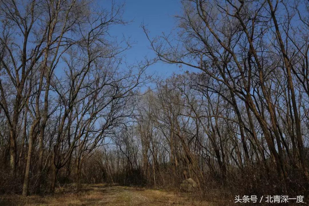 亚洲第一开采坑,亚洲第一天坑的矿产采完了吗