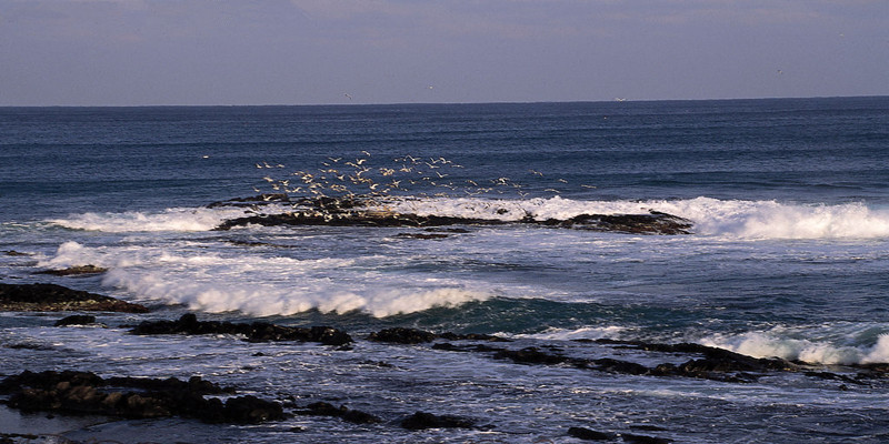 什么姓氏起源于姜,哪些姓氏来源于姜