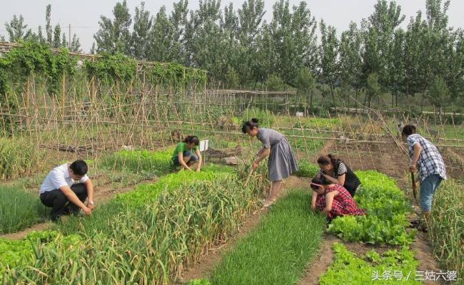 2022最有前景的10个农村创业点子,2023年农村最挣钱的商机