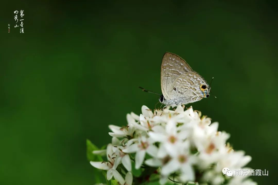 落叶禅意故事,一片树叶的禅意故事
