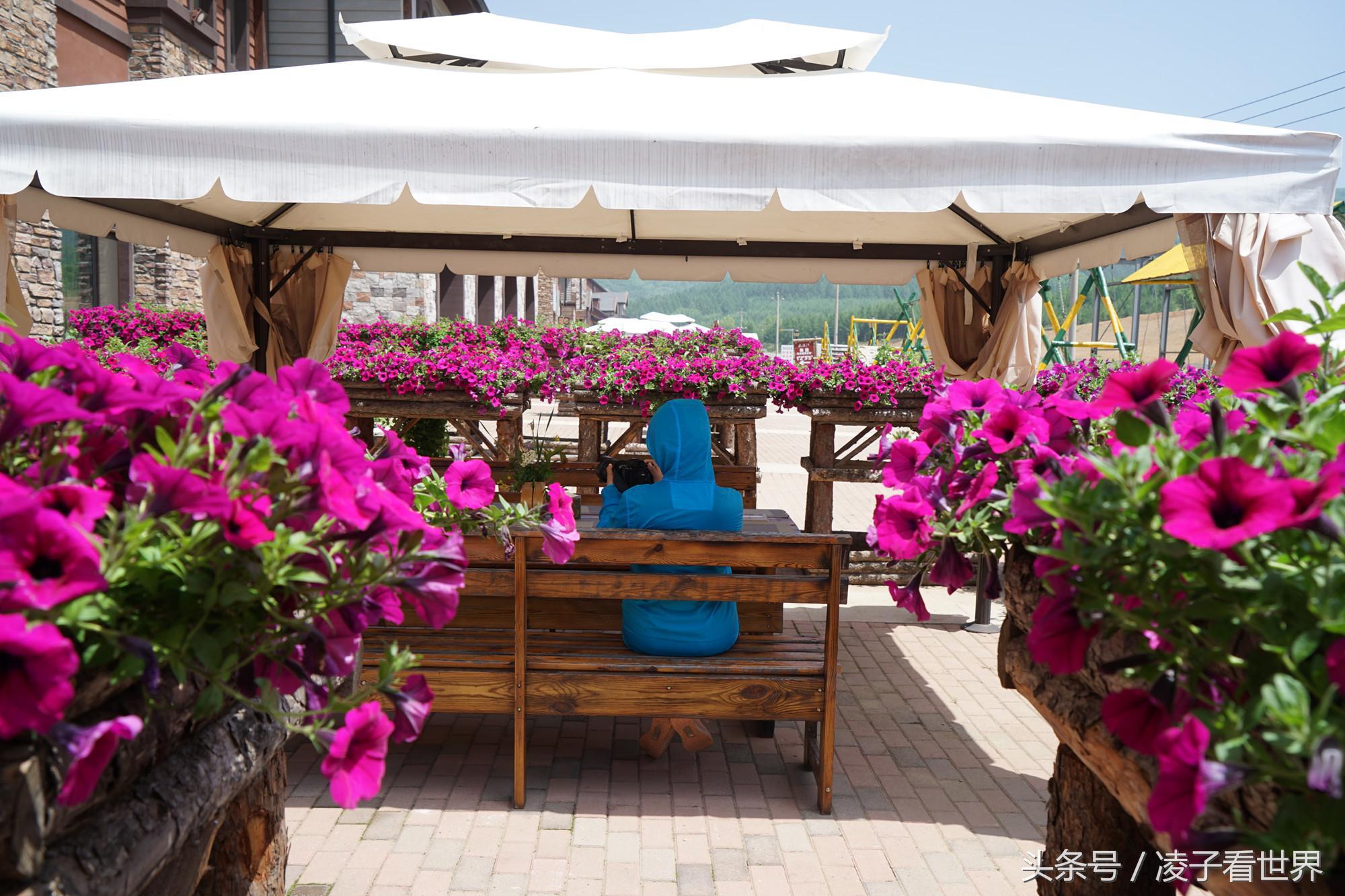 辽宁旅顺天沐温泉度假酒店,辽宁花溪沐温泉小镇