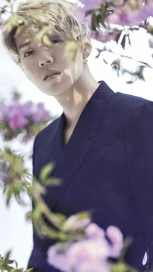 鹿晗手机壁纸主题锁屏,鹿晗壁纸全屏高清