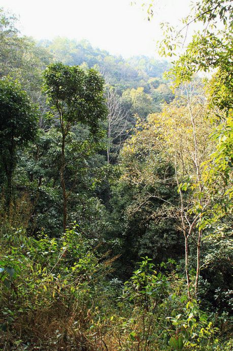 最美樱花温泉,樱花谷泡温泉价目表