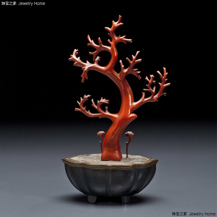 红珊瑚孩儿面,阿卡沙丁momo红珊瑚对比