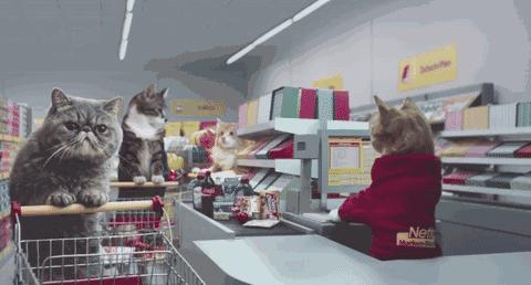 大幂幂被捧红,大幂幂海外代购