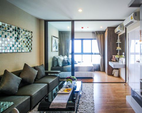 安信达考察,泰国商务考察团回国考察