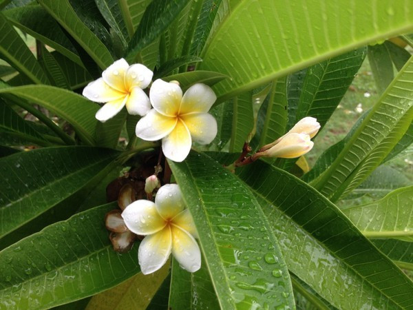 北纬18°风飘飘兮海水蓝