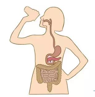 按足三里真的有养生效果吗,足三里神奇功效养生之家