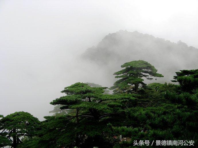 游记｜雾中黄山做梦都想去的人间仙境
