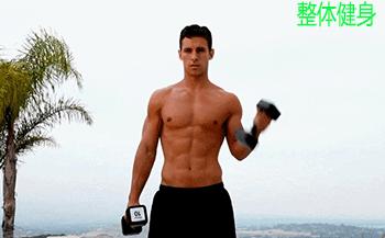 1对哑铃6个动作每天1次适合上班族,哑铃健身计划动作大全图解