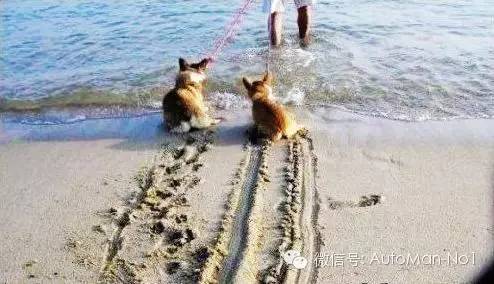 关于汽车这些缩写你得懂,汽车知识各种缩写