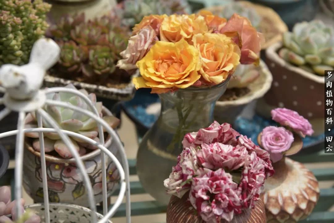 推开世界的门和自己和解,推开世界的门你所看到的风景