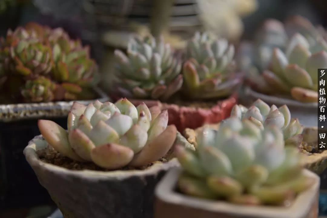 推开世界的门和自己和解,推开世界的门你所看到的风景