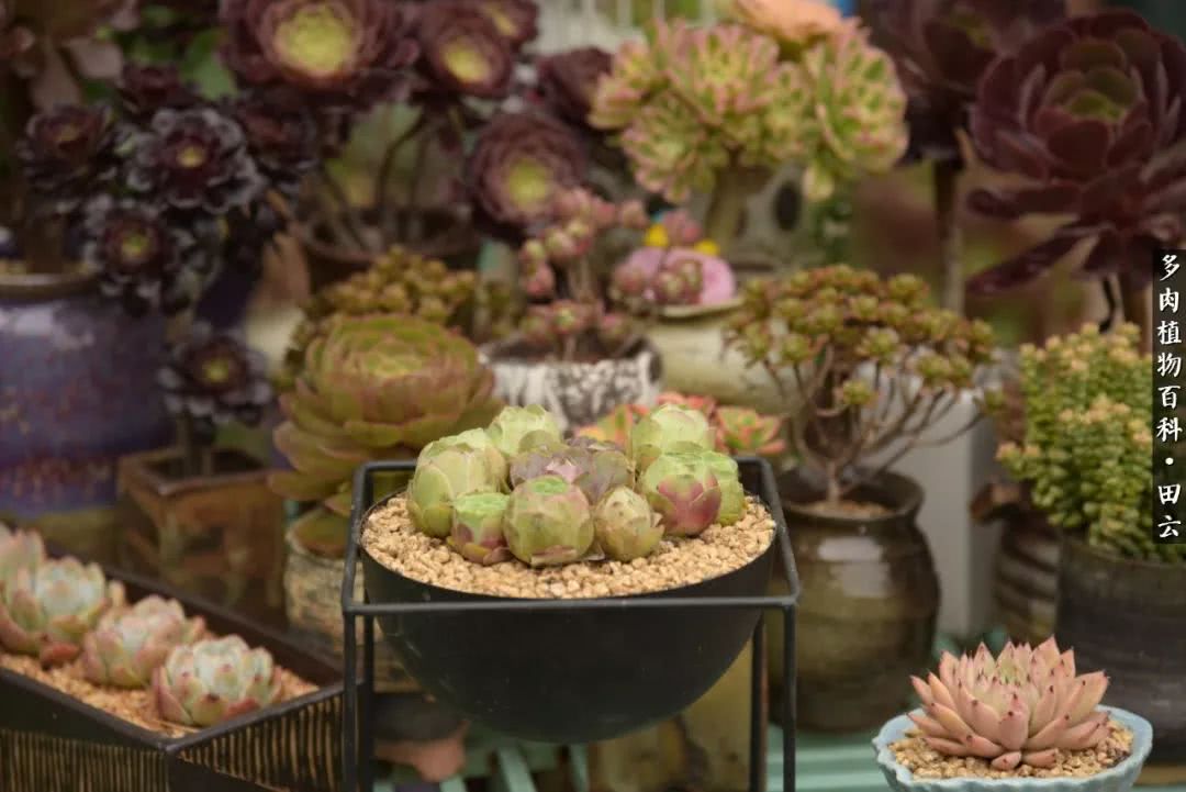 推开世界的门和自己和解,推开世界的门你所看到的风景