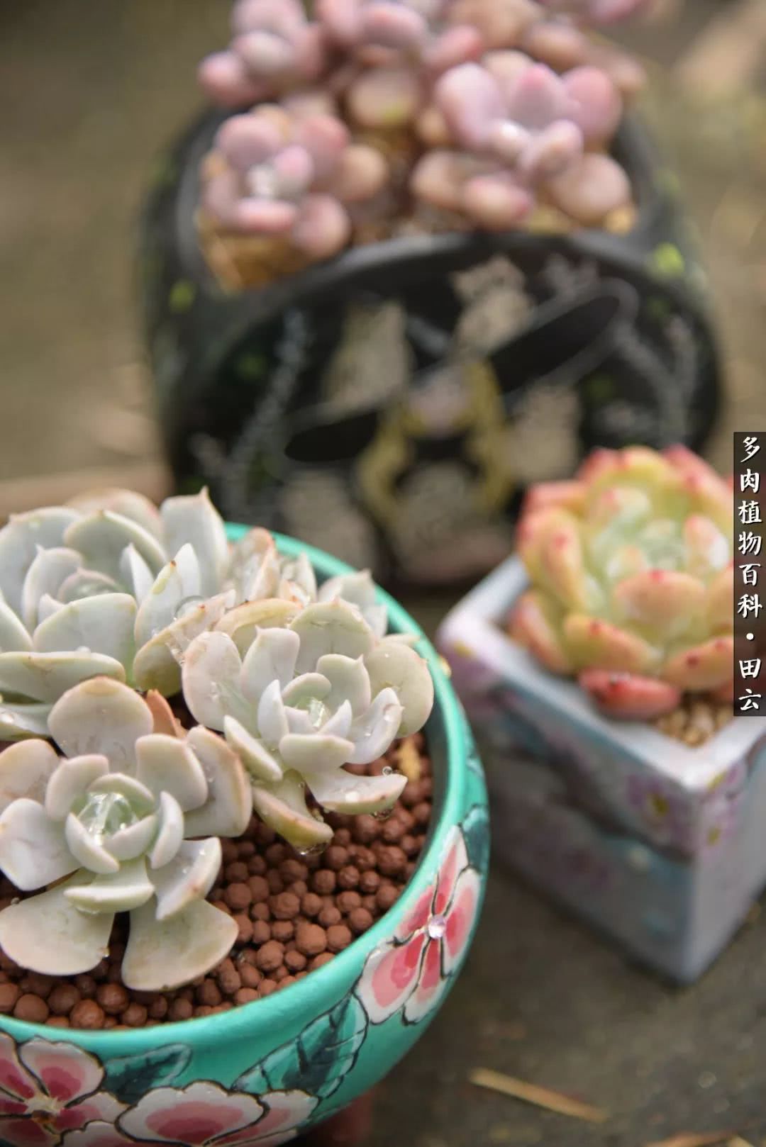 推开世界的门和自己和解,推开世界的门你所看到的风景