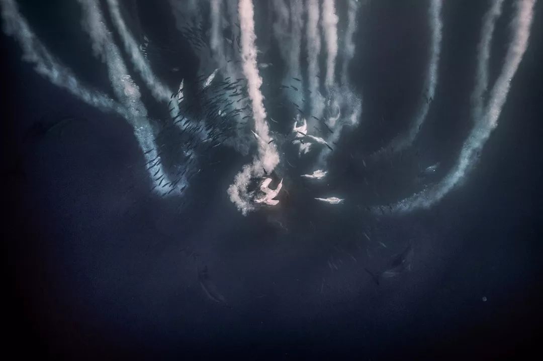 玩客说丨这里有一张东方“海盗”的藏宝图