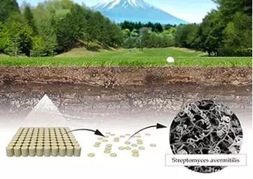 阿维菌素怎么发现的,阿维菌素真假鉴定