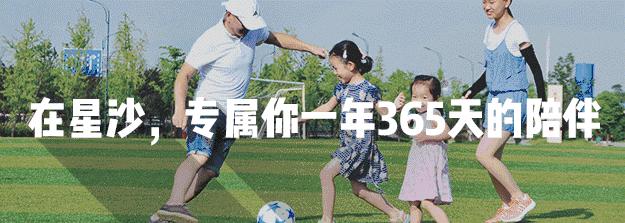 炸油条里面有洗衣粉,炸油条加洗衣粉真的吗