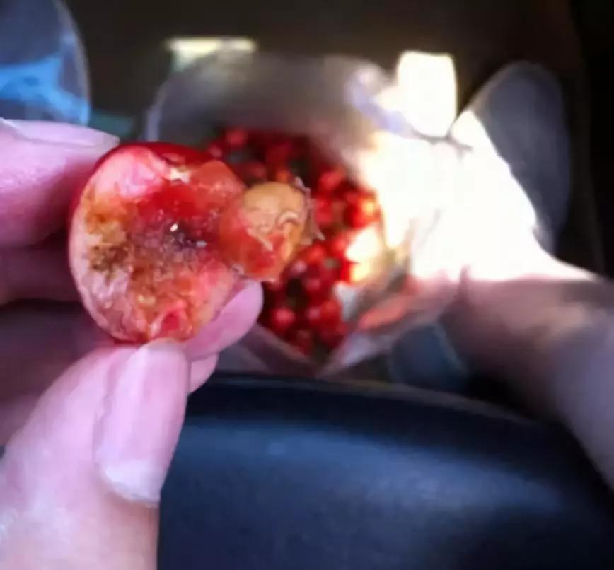 盐水泡樱桃爬出蛆,盐水泡樱桃会有虫子出来的原理