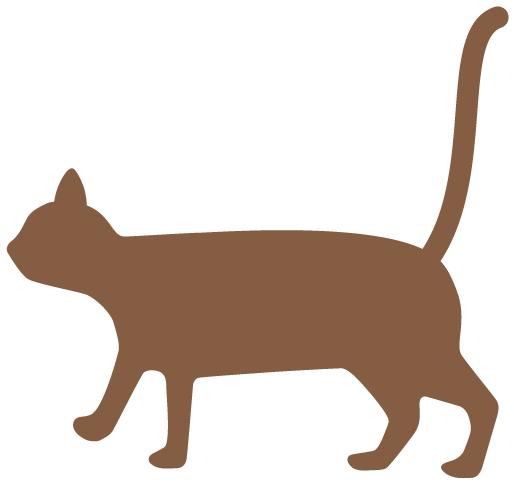 擦眼霜眼角长了脂肪粒,眼睛长脂肪粒和眼霜有关系吗