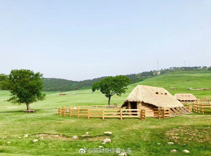 大连游记之三寰牧场,大连三寰牧场游玩日记