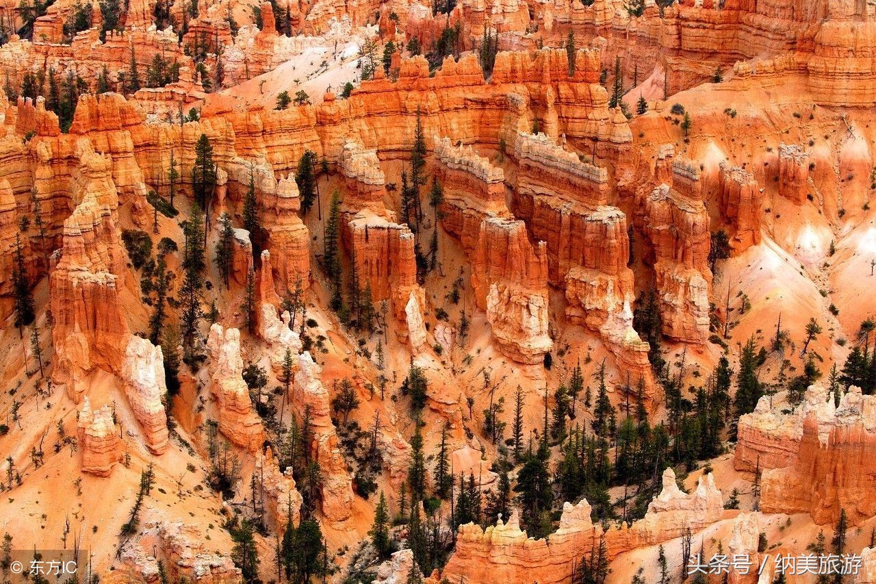 美国旅游十大名胜,美国旅游十大自然景观推荐